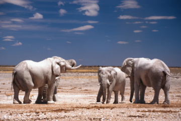 Nationalparks in Namibia