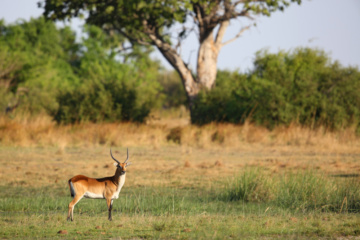 Nationalparks in Botswana