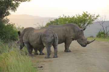 Nationalparks in Südafrika