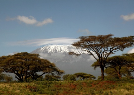 Aus dem Schatten des Kilimanjaro zu den weißen Stränden Kenias