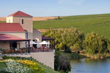 Stellenbosch und Weingüter