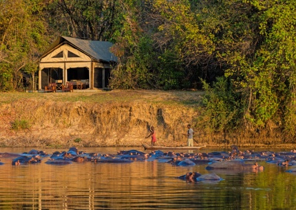 Unglaubliche Flusspferdepopulation im Luambe Fluss, direkt vor dem Campim Luambe National