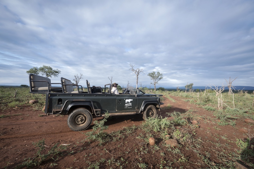 Safari im Mkhaya Game Reserve