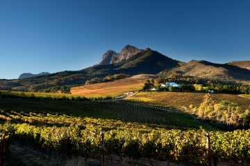 Stellenbosch und Weingüter