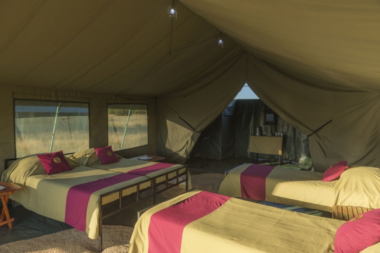Serengeti View Camp