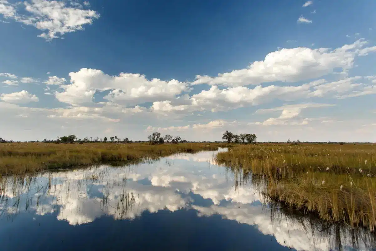 bootsfahrt-botswana-safari-ast-reisen