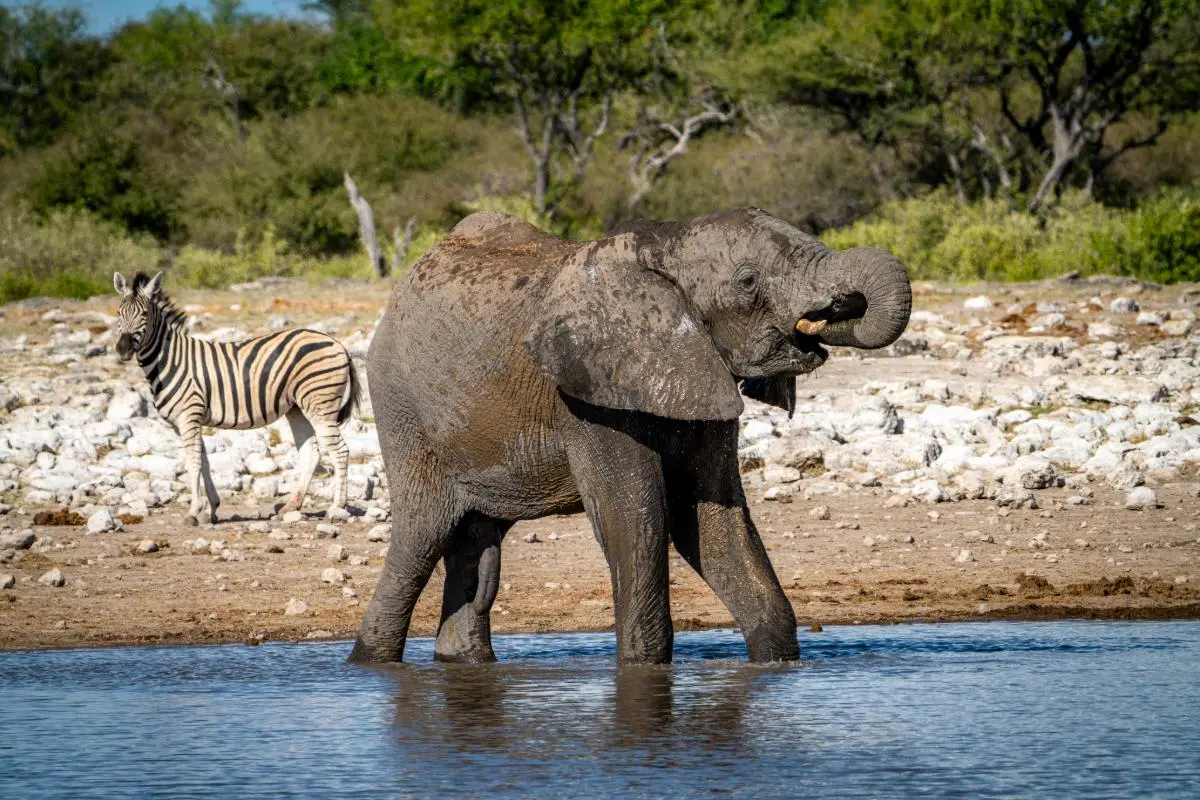 Namibia