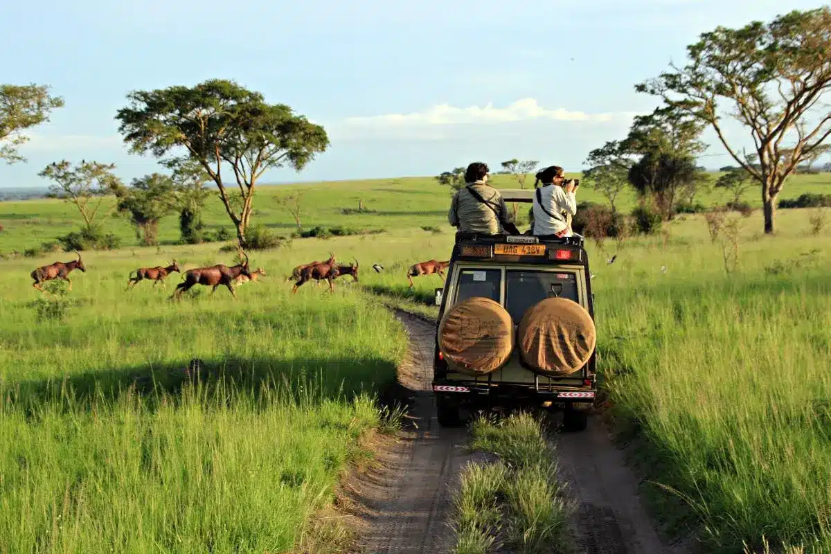 AST Afrika Reisen