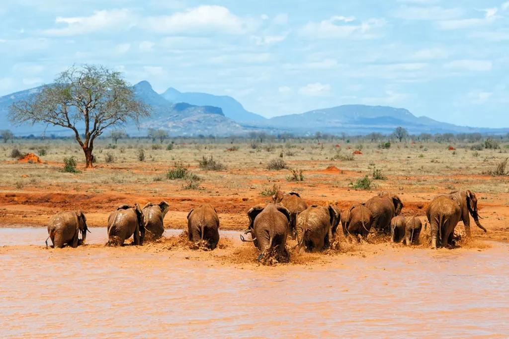 kenia-ast-african-special-tours