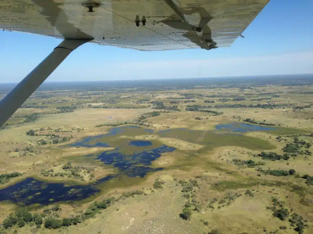 Flugsafari Botswana Chobe Okavango