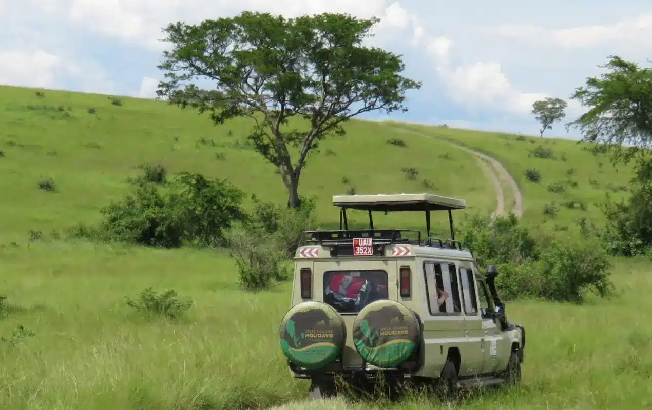 safari-uganda-abenteuer-ast-reisen