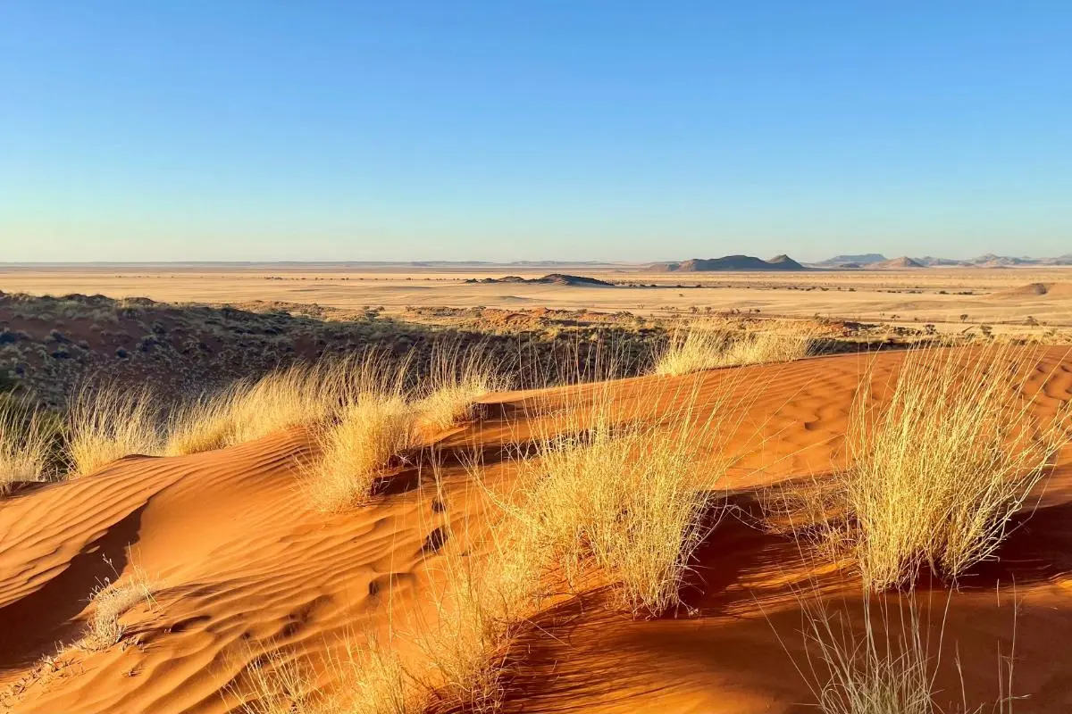 sandduene-namib-namibia-ast-african-special-tours