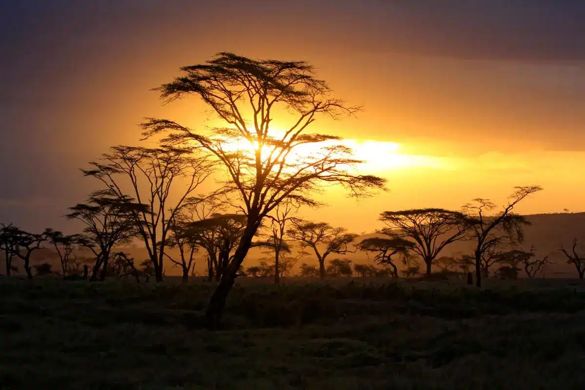 serengeti-sonnenuntergang-safari-tansania-ast-reisen